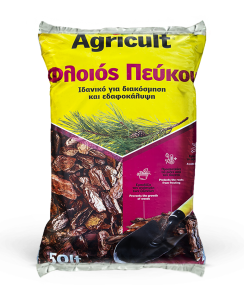 Φλοιός πεύκου Φλοιός πεύκου